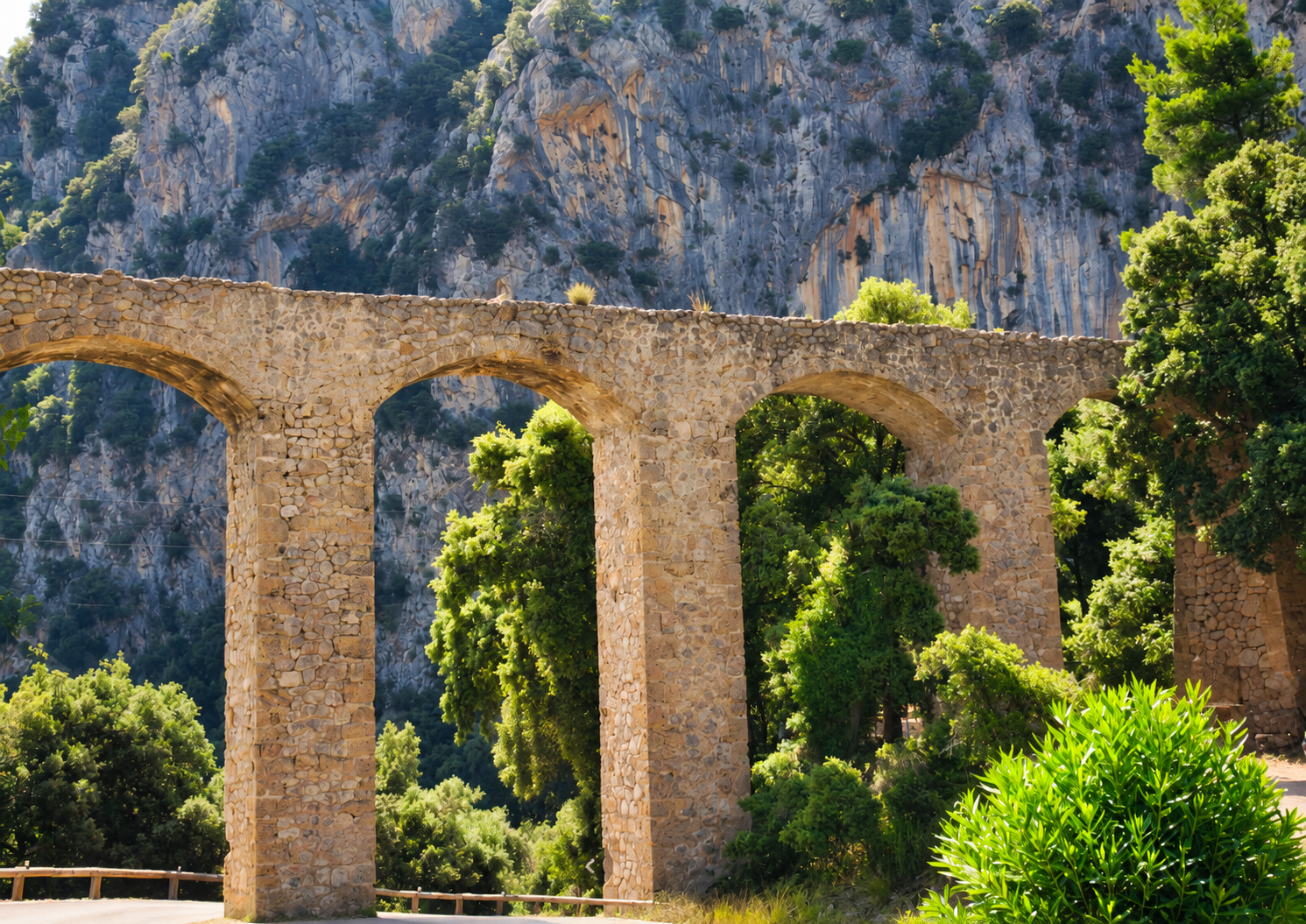 Road Cycling in Mallorca: The Complete Guide to Climbs, Bikes & Tours