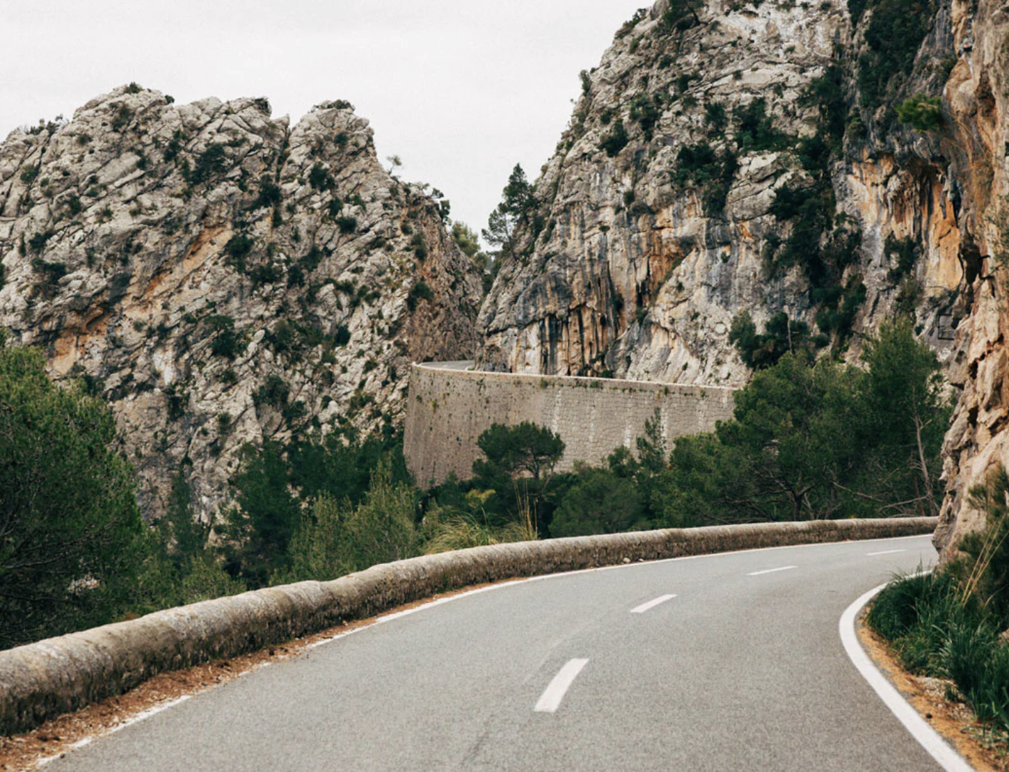 Cyclist climbing the Coll de Sa Batalla road through pine forest, Mallorca