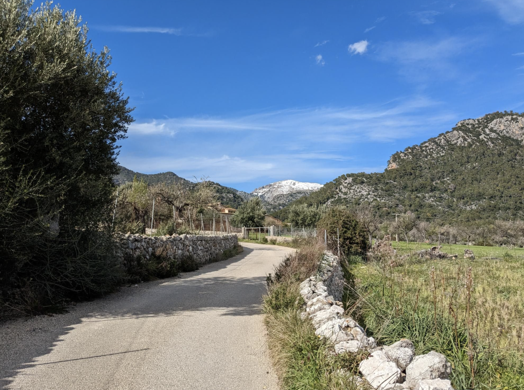 Quiet interior road towards Caimari, in Mallorca's almond-growing region below the Tramuntana
