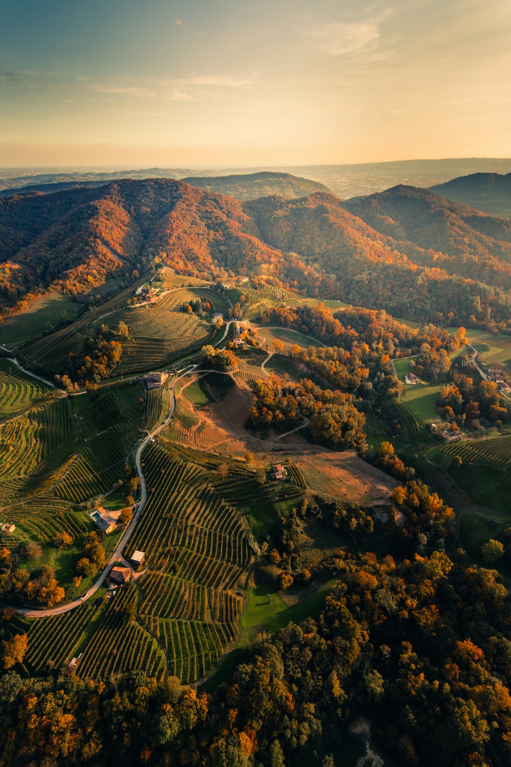 Fields, Vineyards & Villages