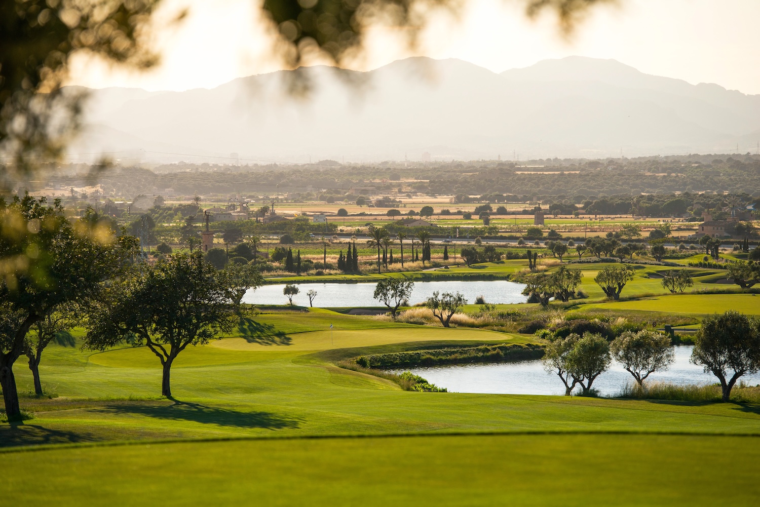 Son Gual Golf